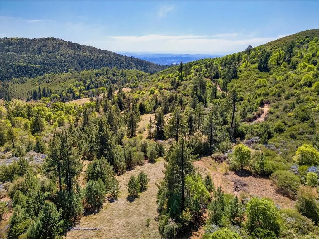 200 Palomar Divide Truck Trail