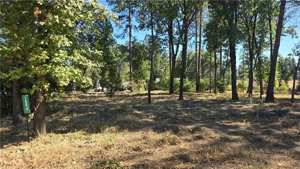 1664 Meadowbrook