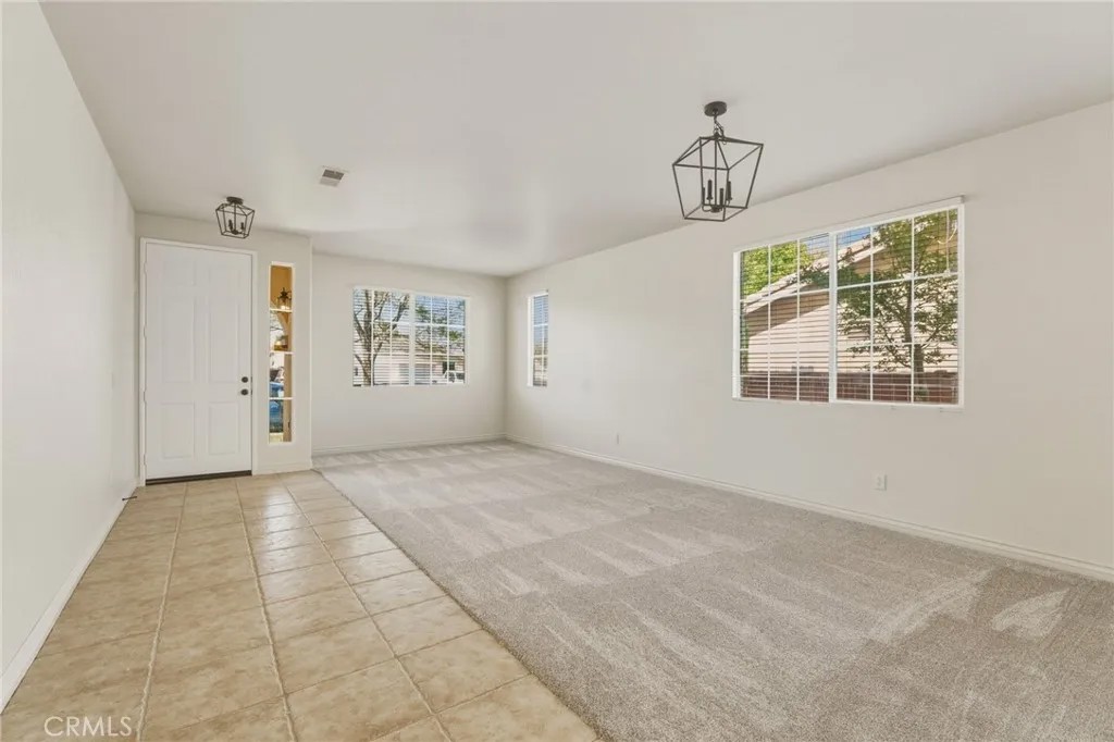14373 Silent Spring