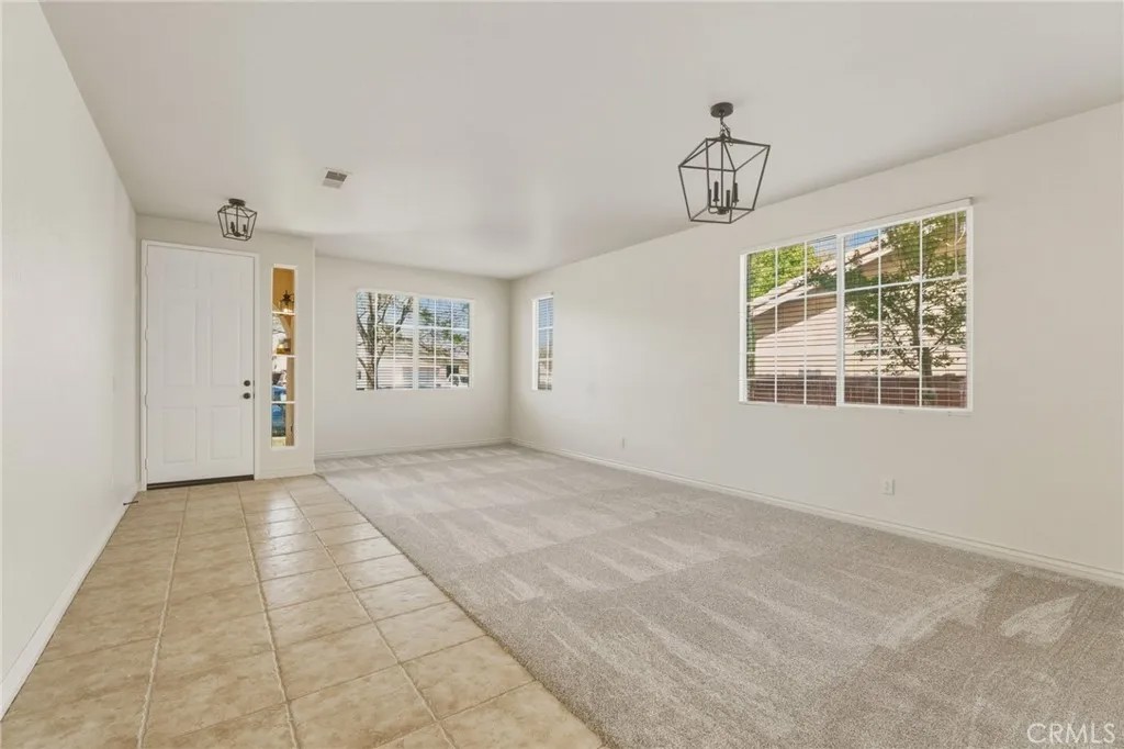 14373 Silent Spring