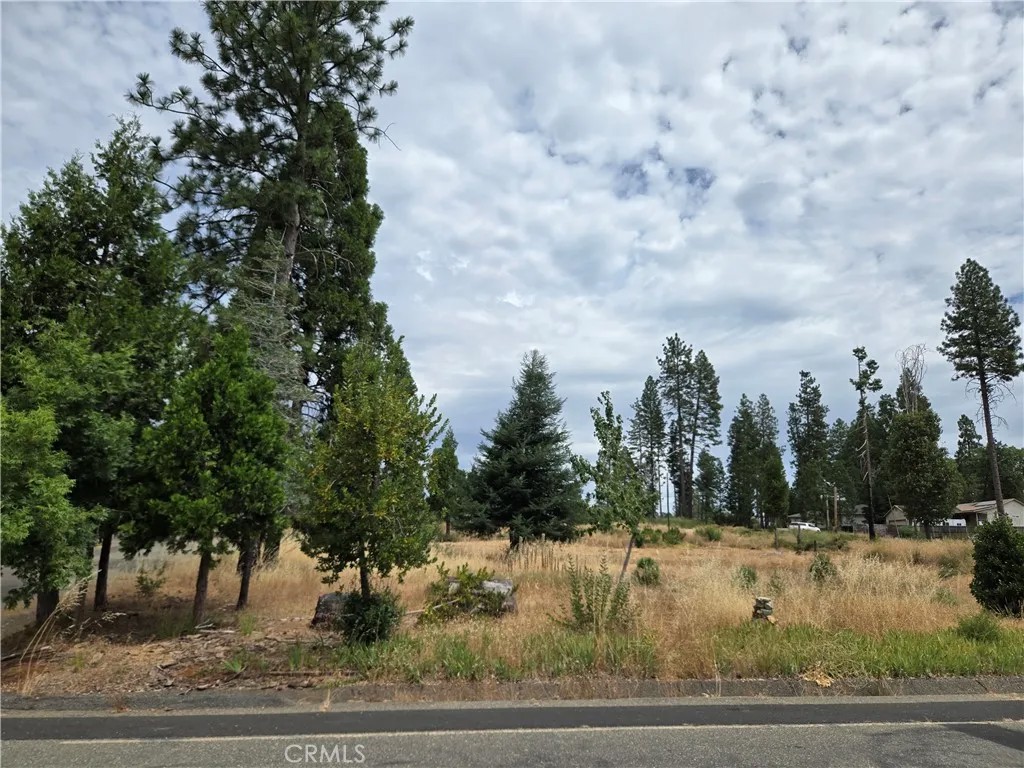 13549 S Park