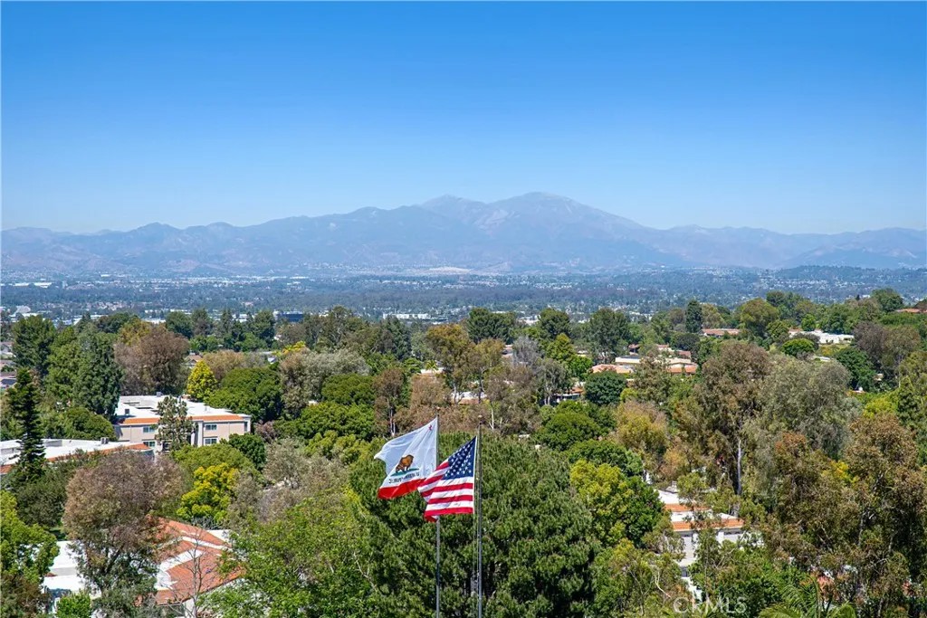 24055 Paseo Del Lago 1062