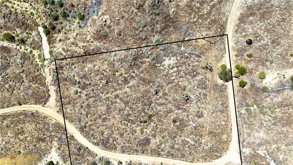 2 Eagles Nest