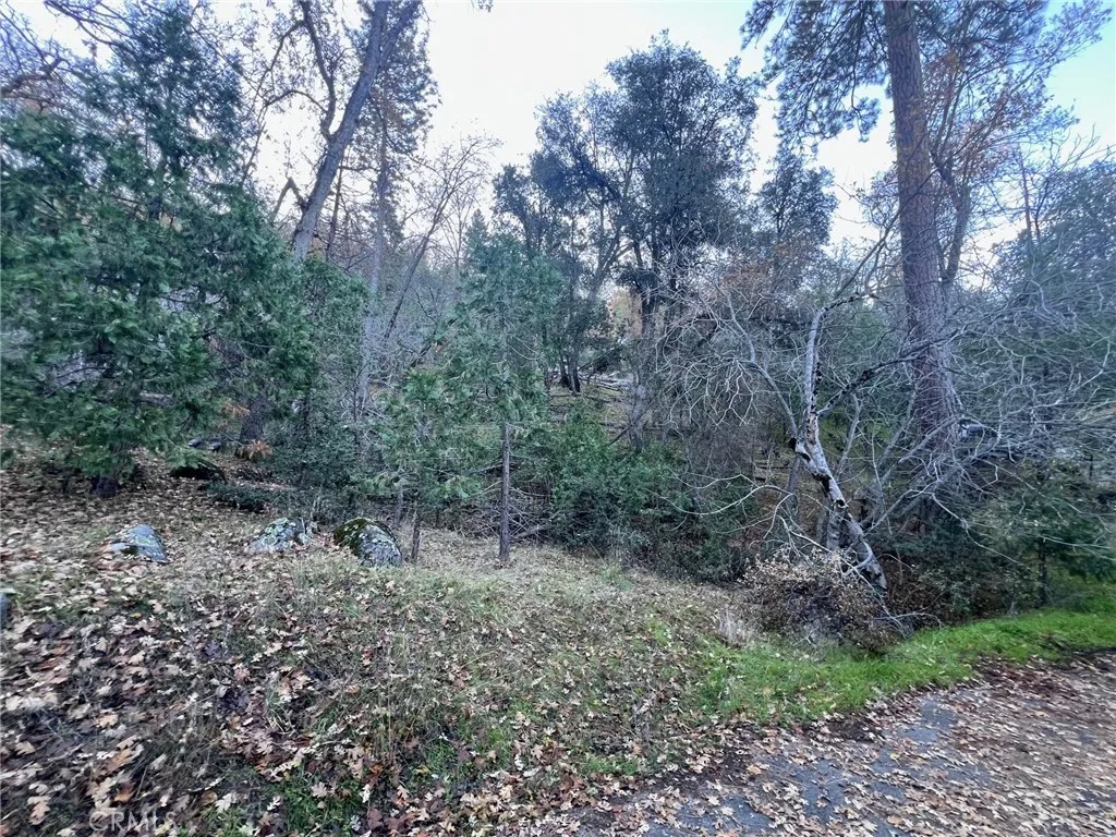 0 Snowy Creek