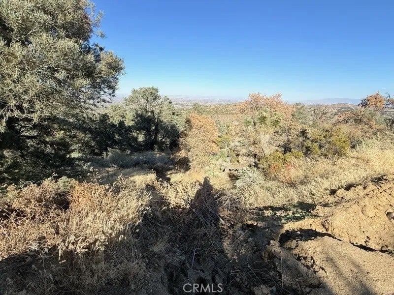 Photo of 0 Homeridge, Pinon Hills, CA 92372 (MLS # HD26220972)