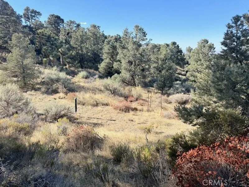 Photo of 0 Homeridge, Pinon Hills, CA 92372 (MLS # HD26220972)