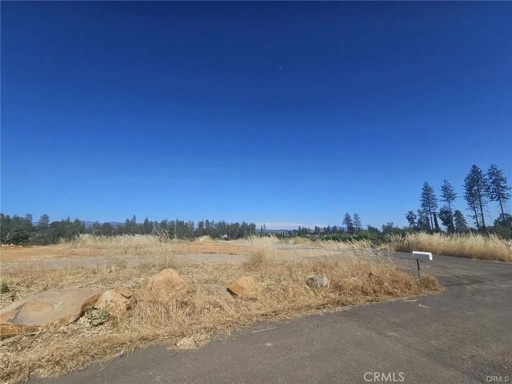 Photo of 1716 Ellis Dr, Paradise, CA 95969 (MLS # SN25281882)