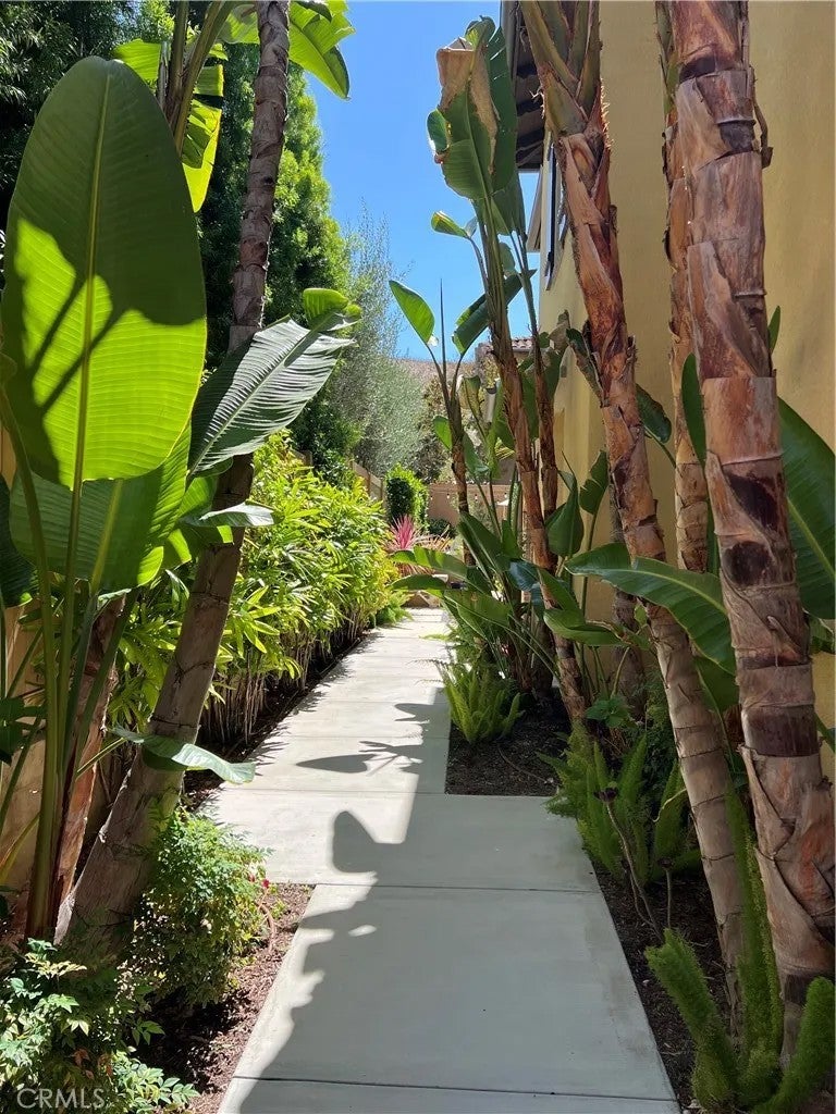28258 Camino Del Rio