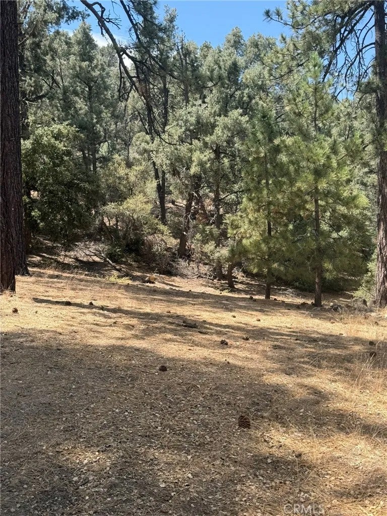 2019 Freeman