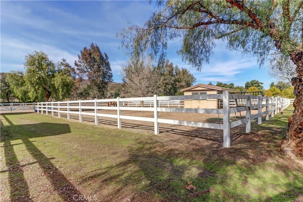 38510 Calle De Lobo