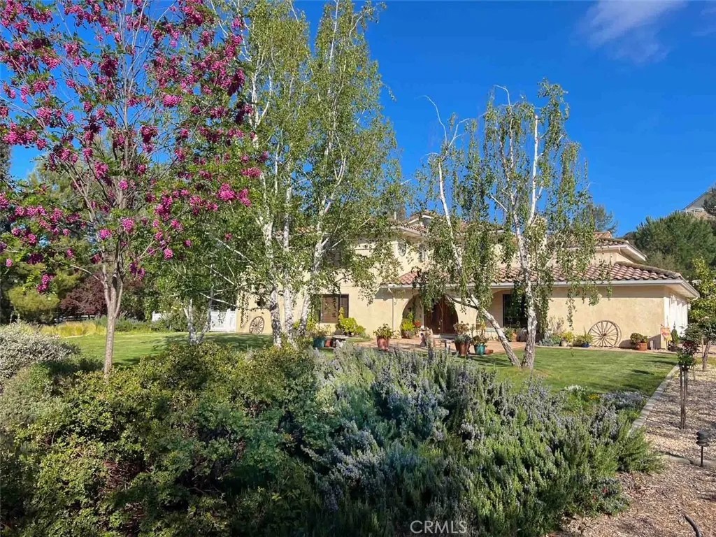 38510 Calle De Lobo