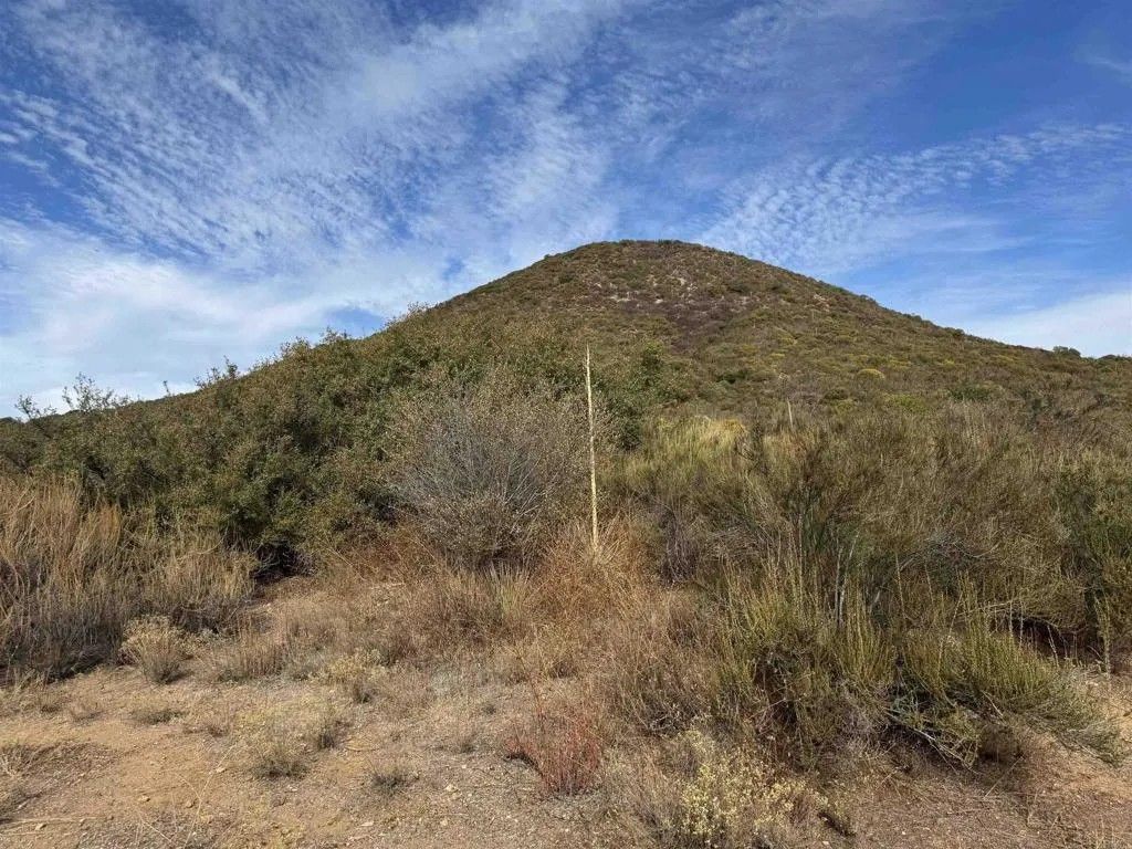 Photo of 0 Lawson Valley, Jamul, CA 91935 (MLS # PTP2600097)