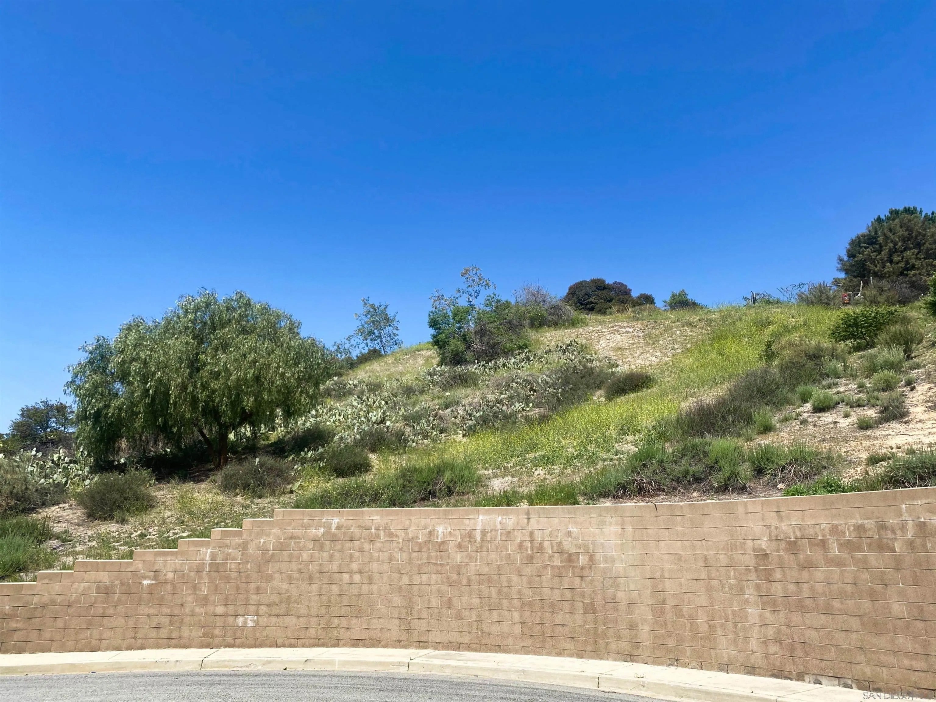 15 Yucca Ct 15