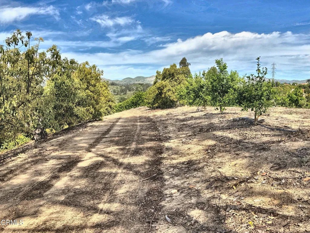 0 Grimes Canyon