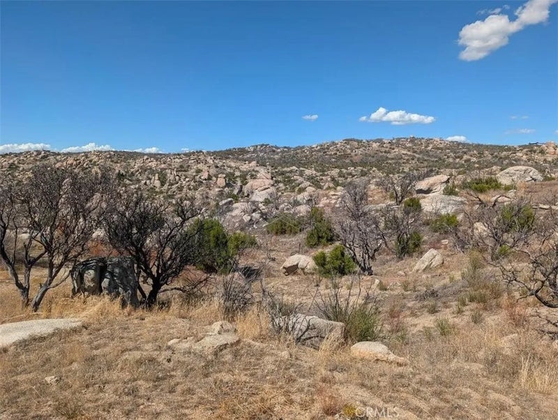 52080 Tule Peak