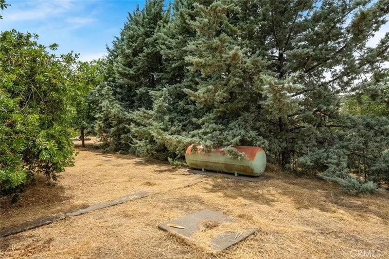 3390 Dry Creek