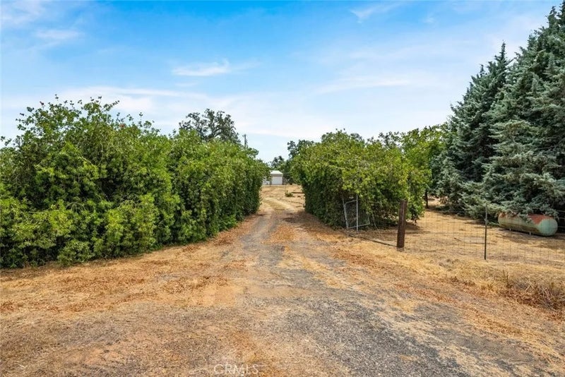 3390 Dry Creek