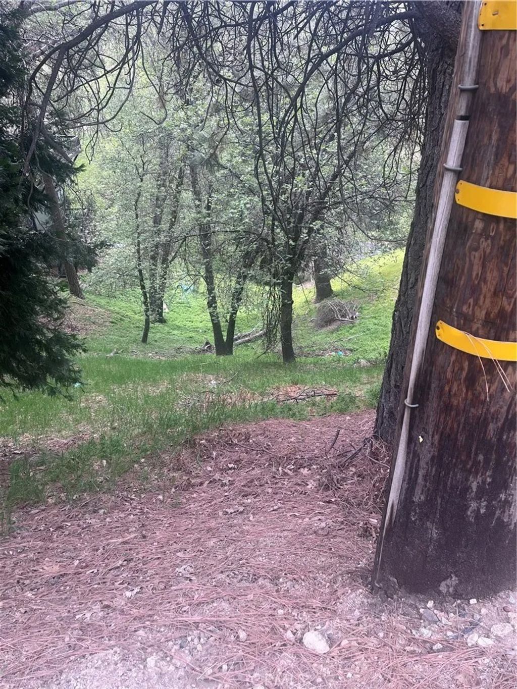 Photo of 0 Jewel, Crestline, CA 92325 (MLS # IG26089813)