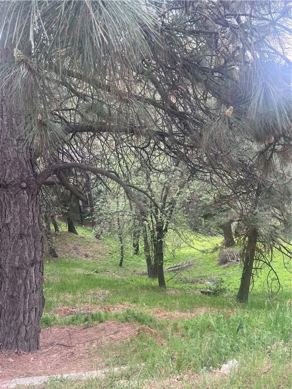 Photo of 0 Jewel, Crestline, CA 92325 (MLS # IG26089813)