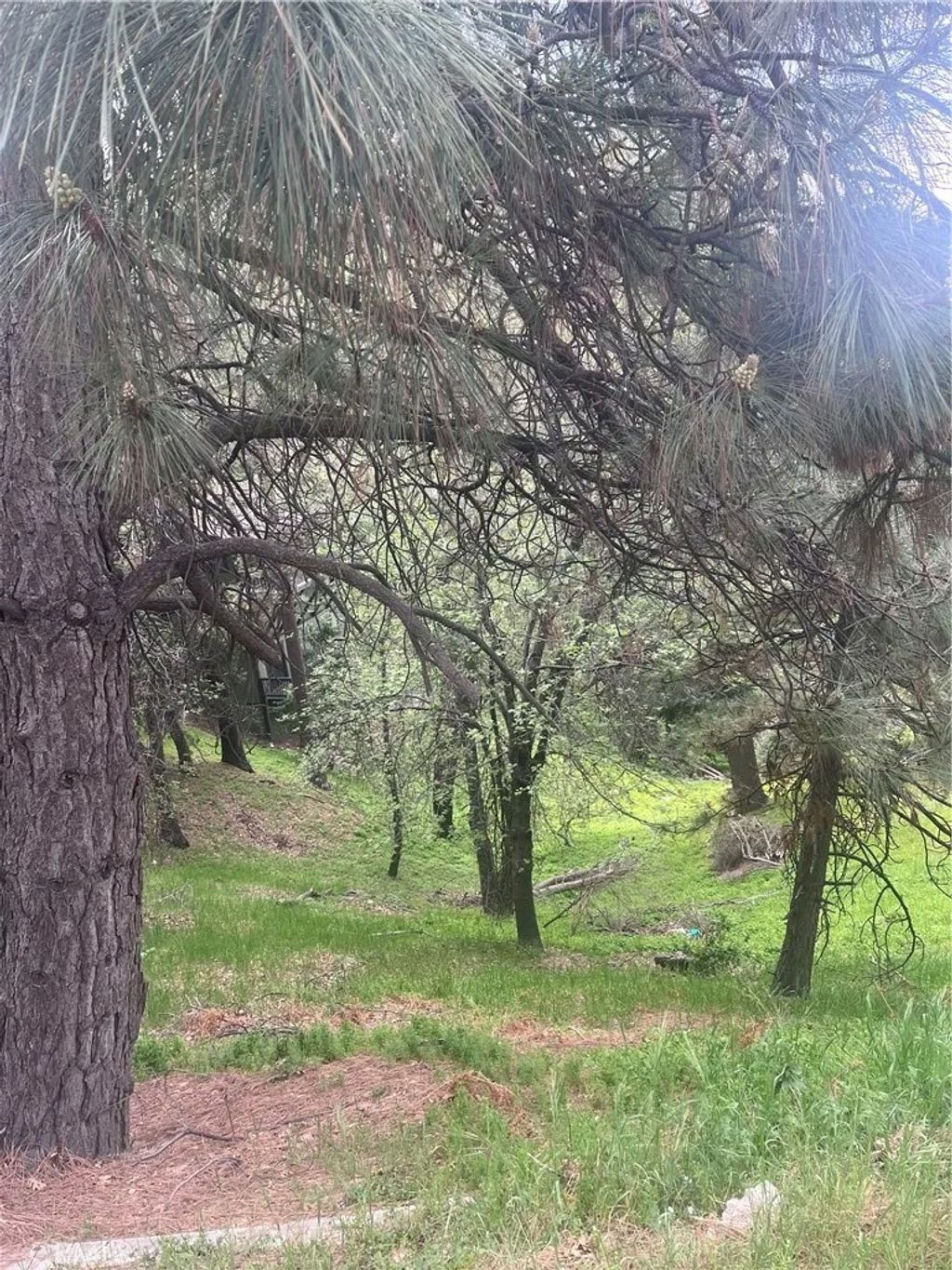 Photo of 0 Jewel, Crestline, CA 92325 (MLS # IG26089813)