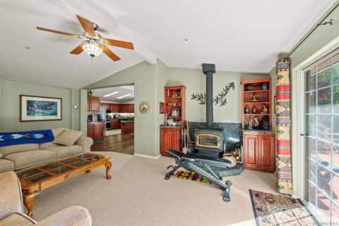 Tiny photo for 5294 Pine Hills Road, Julian, CA 92036 (MLS # 250042571)