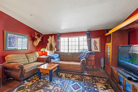 Tiny photo for 5294 Pine Hills Road, Julian, CA 92036 (MLS # 250042571)