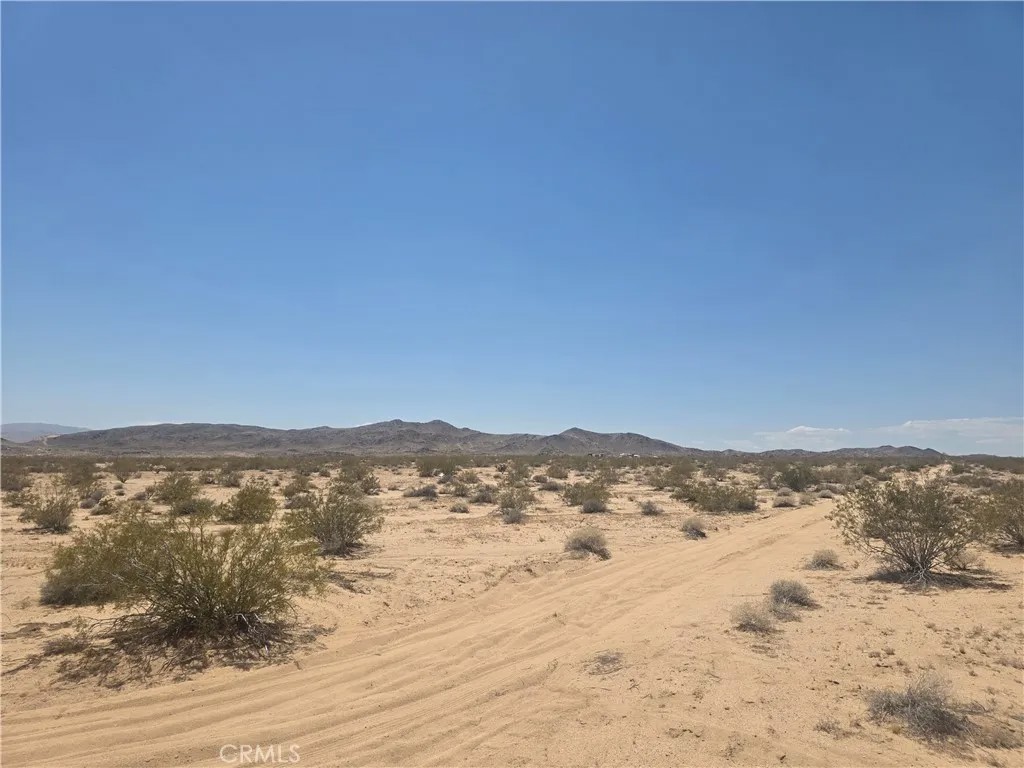 2 Mesa Verde