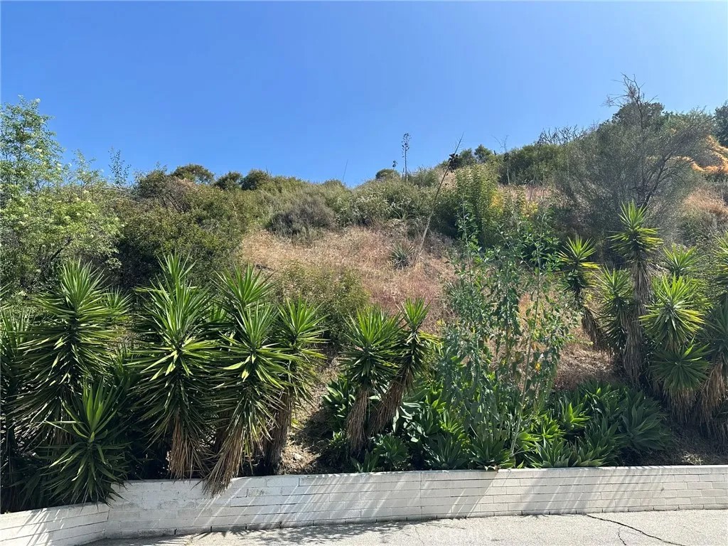 0 LOMA VISTA