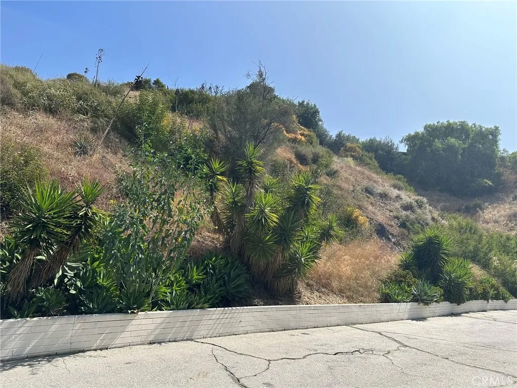 0 LOMA VISTA