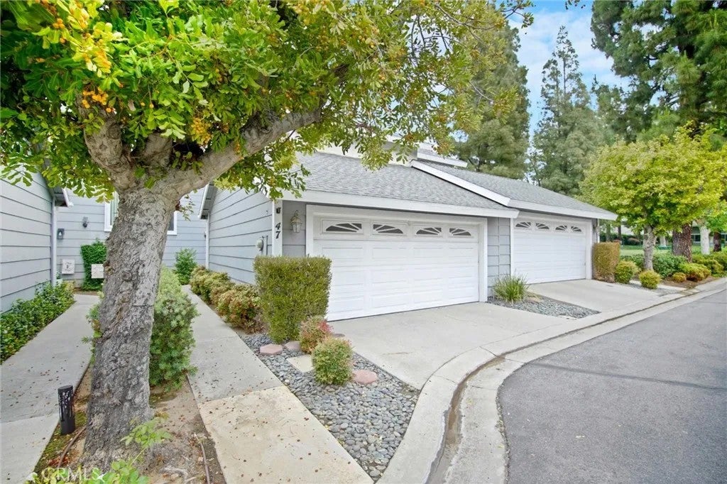 12168 Mount Vernon 47