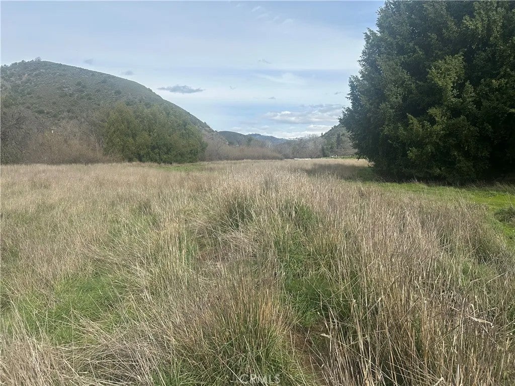 9000 Scotts Valley