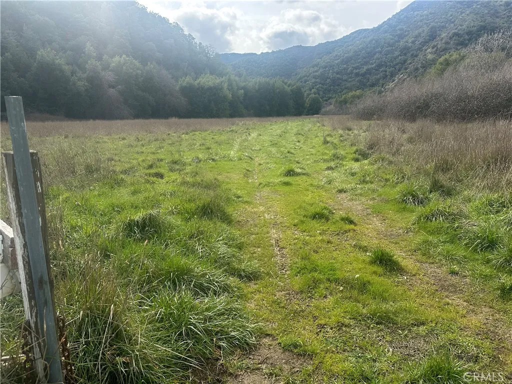 9000 Scotts Valley