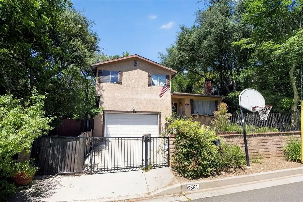 6561 Tokay