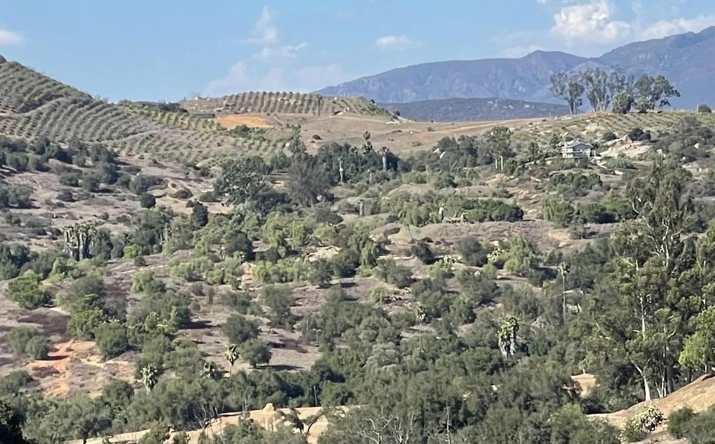 Photo of 77.78 ac Jeffrey Heights Rd, Valley Center, CA 92082 (MLS # 250039159)