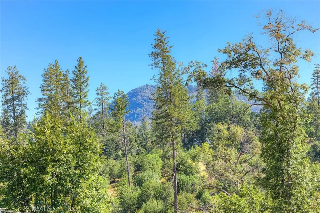 1831 Clear Brook