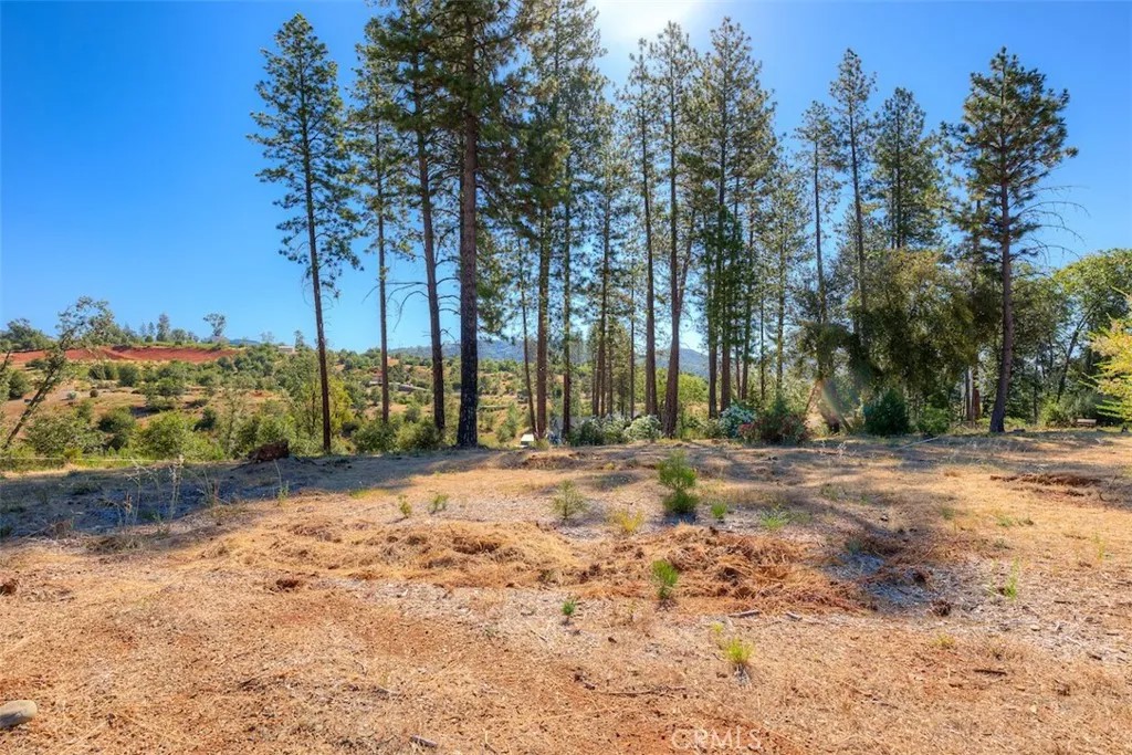 1831 Clear Brook
