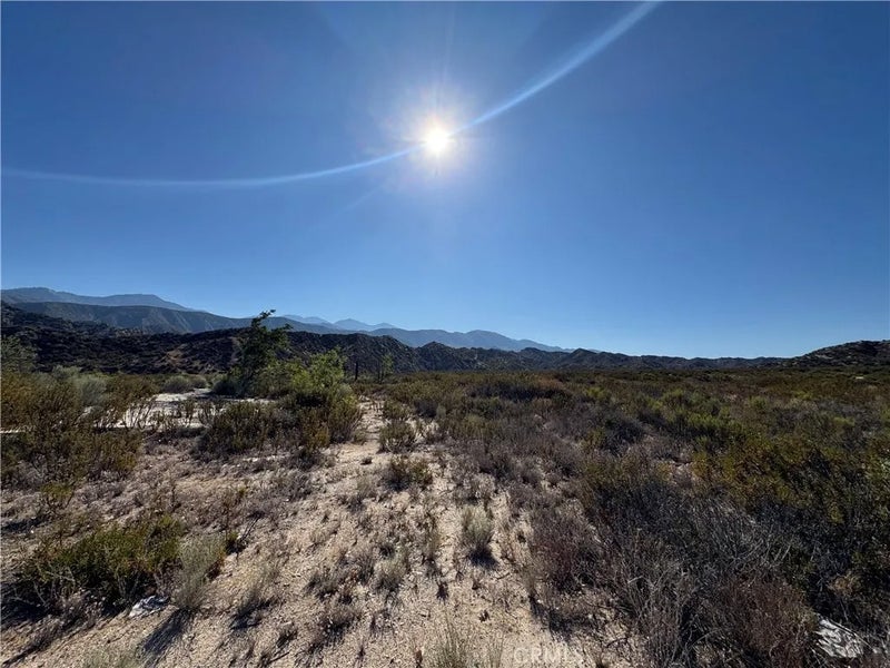 4292 Davis Ranch