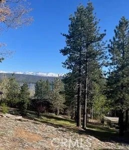39405 Garden