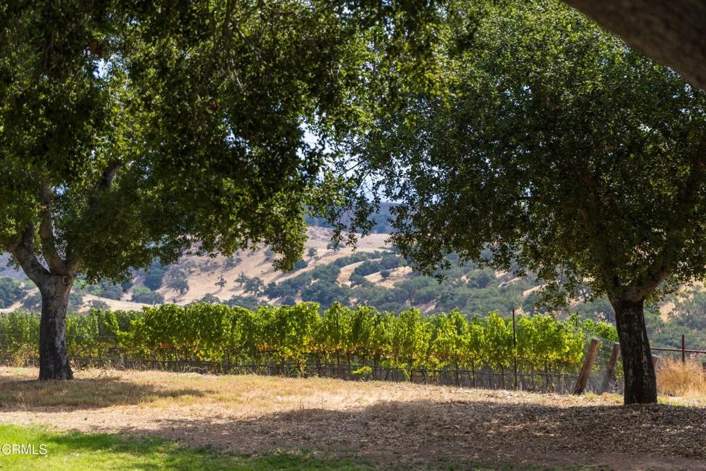 3001 Long Valley Road