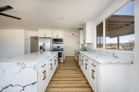 Photo of 5655 Last Mile Road, Johnson Valley, CA 92285 (MLS # PTP2508296)