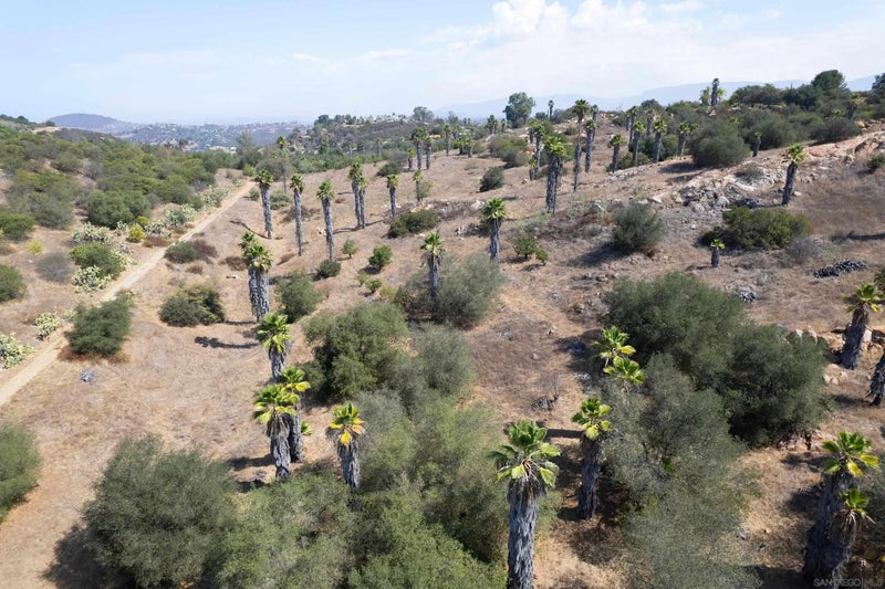 19.22 Acres Mirar De Valle 28