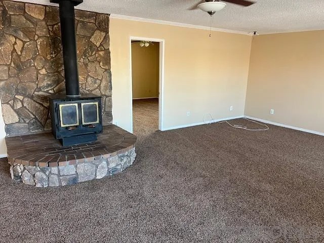27539 Silver Lakes Parkway