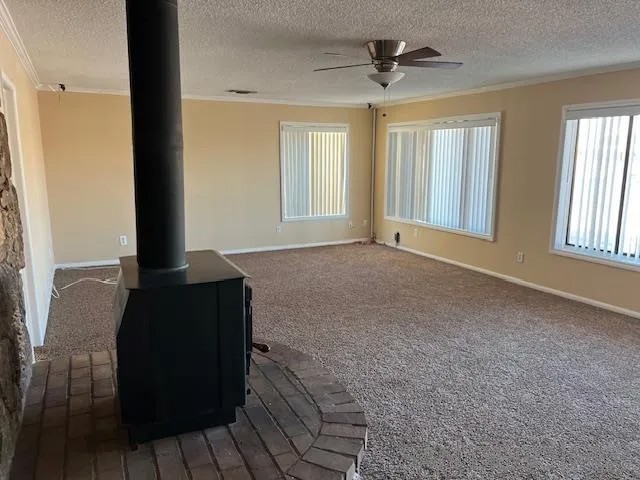 27539 Silver Lakes Parkway