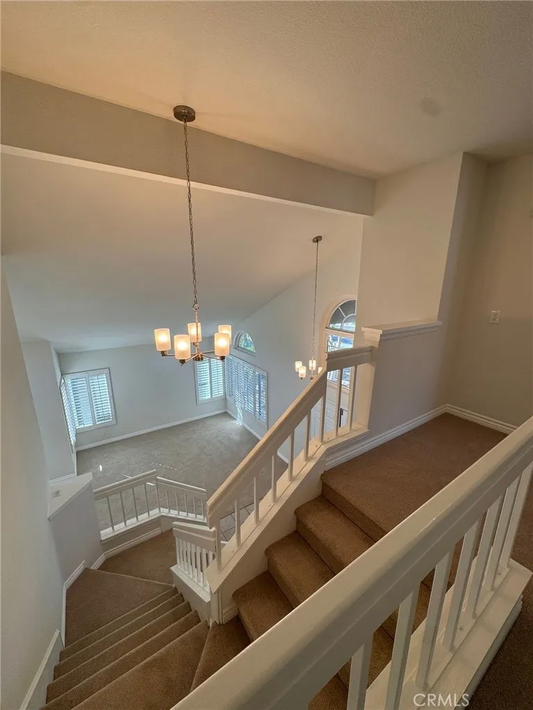 24471 Saradella Court