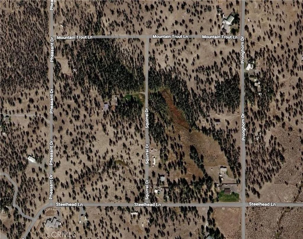 Photo of 0 Pheasant, Alturas, CA 96101 (MLS # DW26103419)