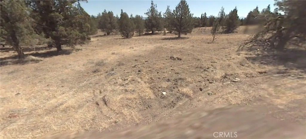 Photo of 0 Pheasant, Alturas, CA 96101 (MLS # DW26103419)