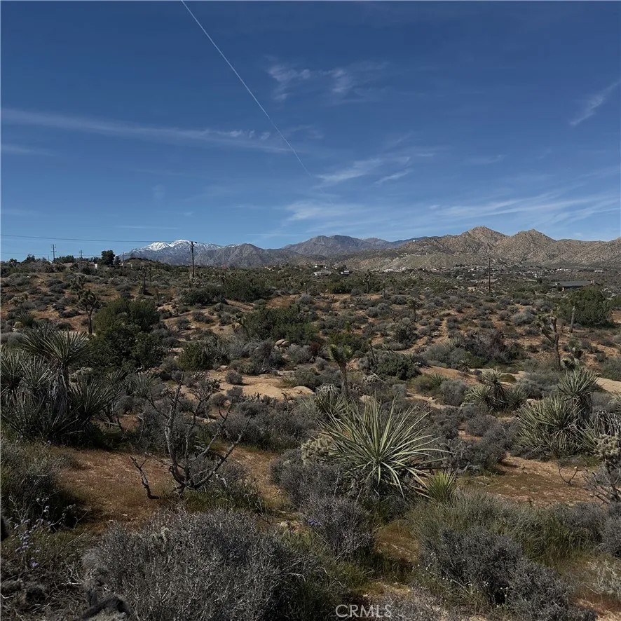 8164 Jemez