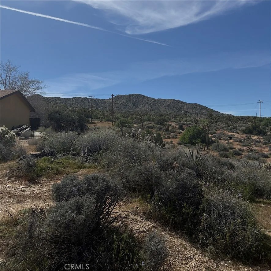 8164 Jemez