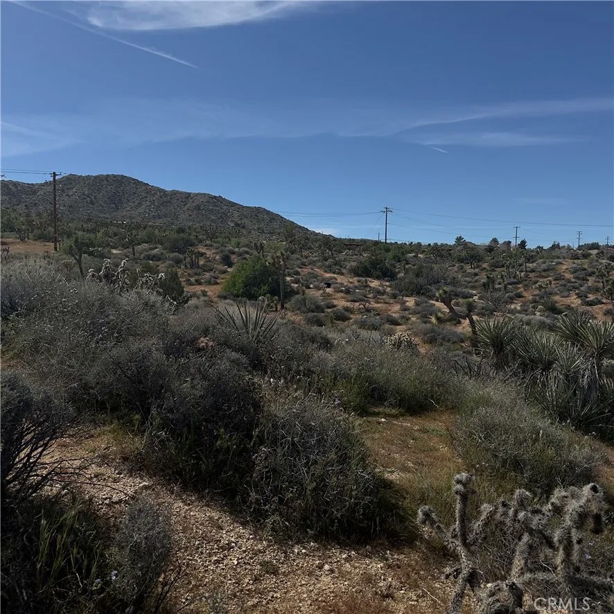 8164 Jemez