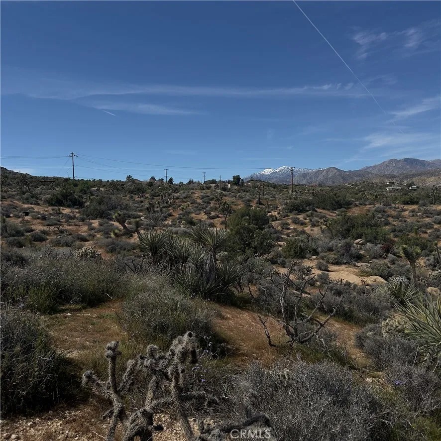 8164 Jemez
